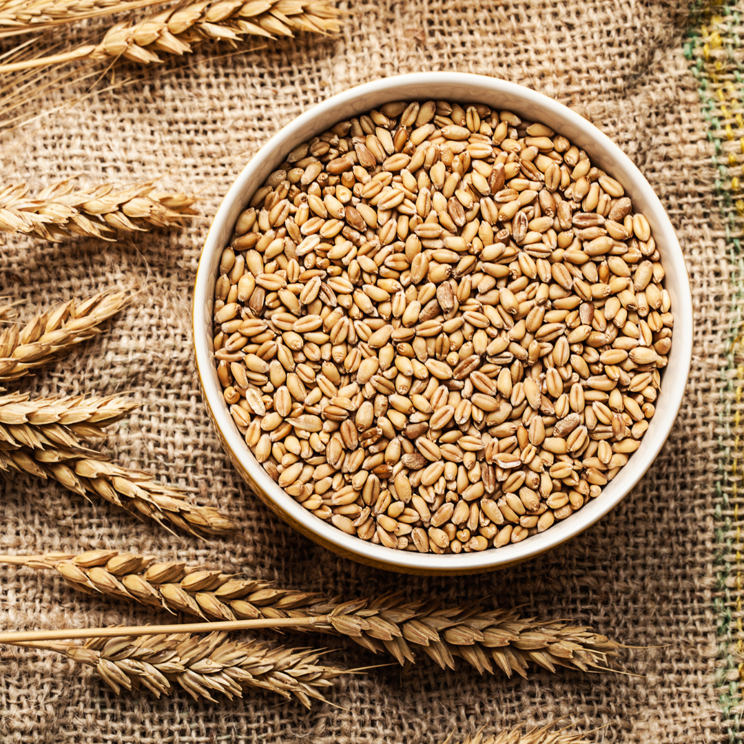 Glutenska hipersenzitivnost